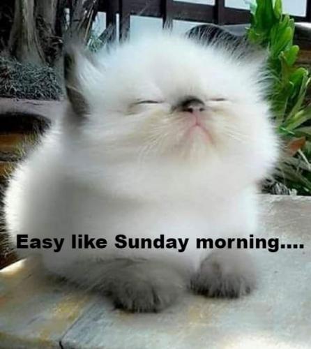 09:18:32 GMT-0500 (EST)