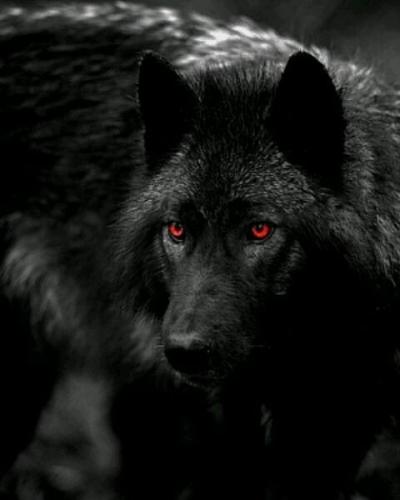 133630510_226689399025094_9019994464605687356_n