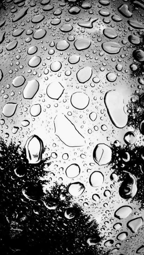 08:00:00 GMT-0800 (PST)