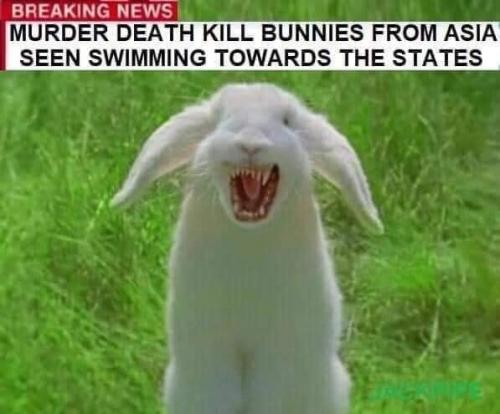 MURDER DEATH KILL BUNNIES