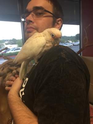 11:35:59 GMT-0500 (EST)