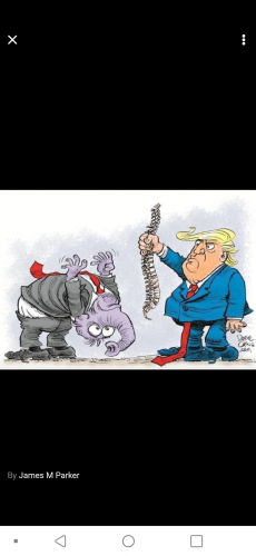 137310792_439562983866320_8269773326837875090_n