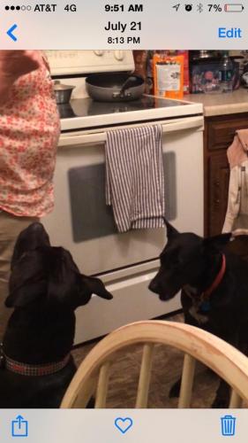 10:18:08 GMT-0600 (CST).image