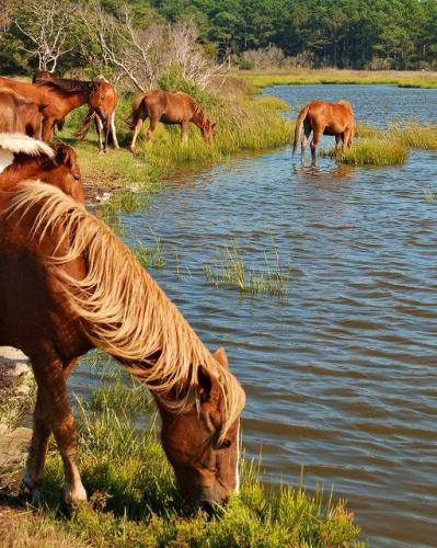 138684820_1494628857403126_2880772103518222301_n