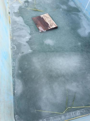 21:09:42 GMT-0800 (PST).image