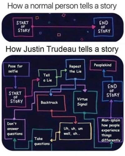 TURD lie flow chart