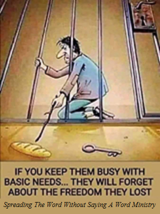 138639453_451437275882156_5631952075144531357_n