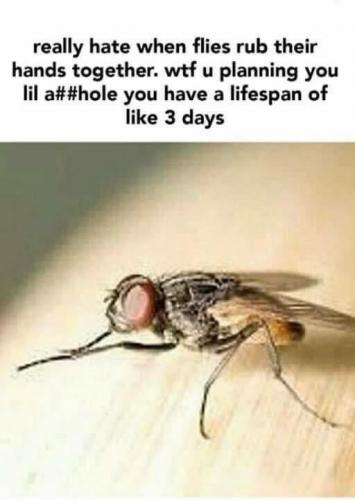 23:32:49 GMT-0800 (PST).image