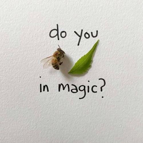 08:36:46 GMT+0100 (CET)