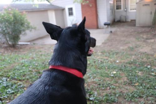 10:07:24 GMT-0600 (CST).image