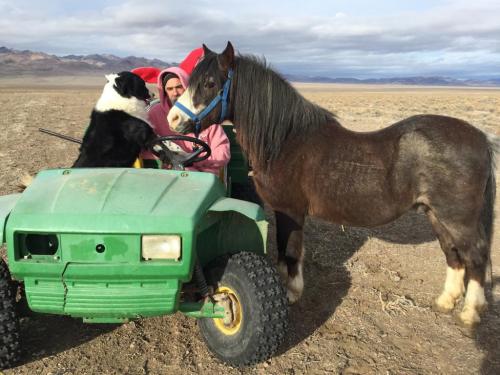 08:22:54 GMT-0800 (PST).image