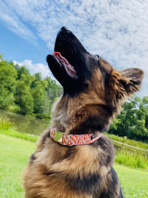 17:15:29 GMT-0500 (EST).image