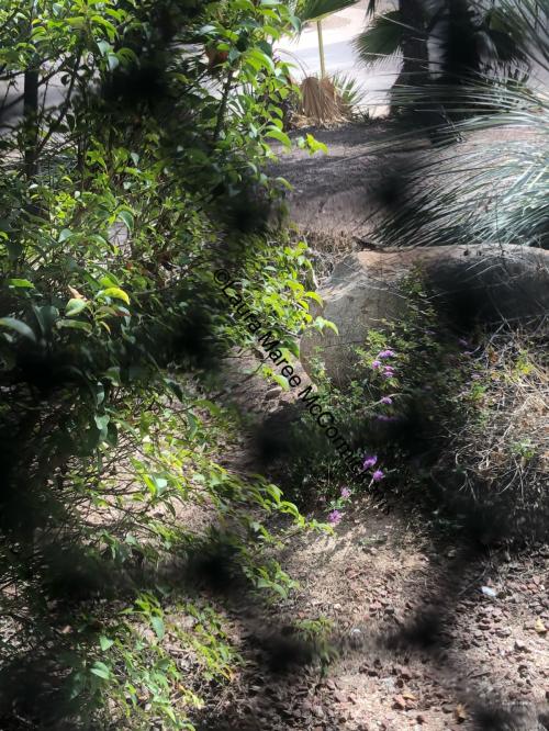 17:50:58 GMT-0700 (MST).image