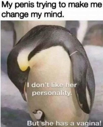 04:03:22 GMT-0800 (PST)