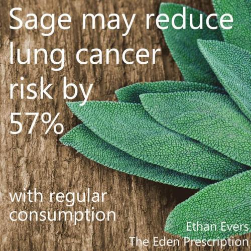 22:50:10 GMT-0700 (MST)