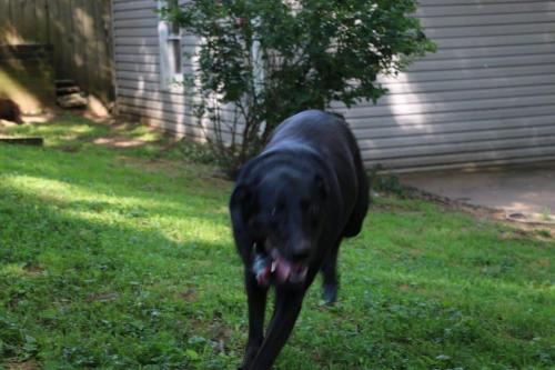 09:59:29 GMT-0600 (CST).image