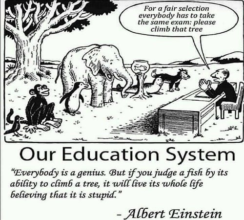 144154911_1122089781634296_2478863492256723754_n