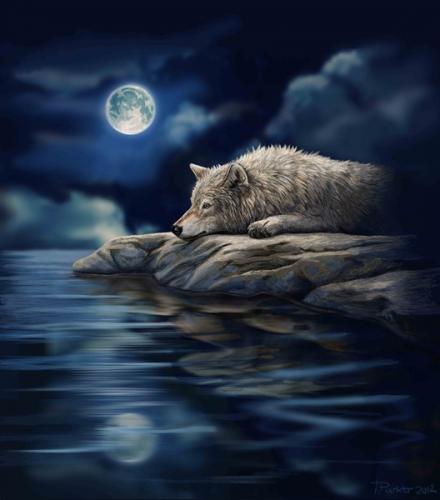 tumblr_dab0c978f7ccf24f8eb9644d6a5a87bc_998bbde3_540