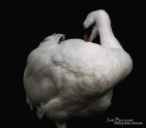 02:38:32 GMT-0600 (CST)