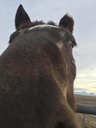 08:22:54 GMT-0800 (PST).image