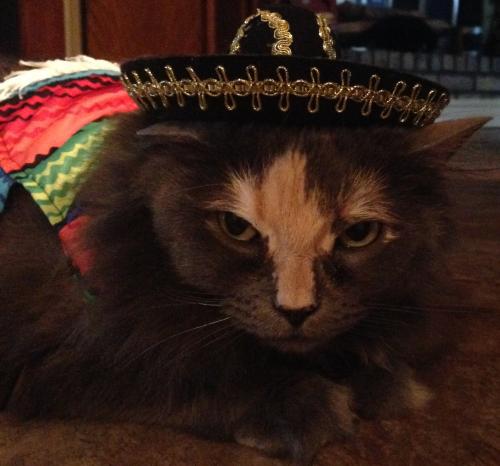 10:20:28 GMT-0600 (CST).image