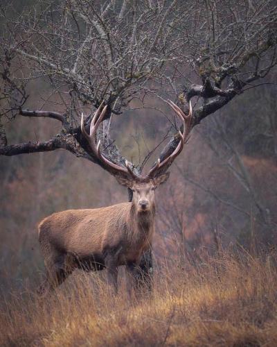 141193819_1781318372034367_5445996447376891874_o