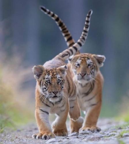 12:28:36 GMT-0600 (CST)