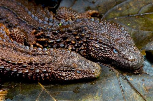 133863013_3414756891969496_7045392077663273827_o