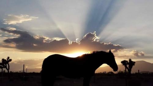 19:48:02 GMT-0800 (PST).image