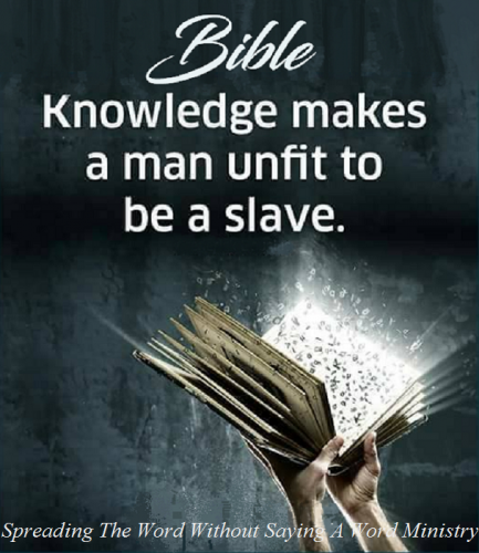 140868561_1086716678420653_8384697598638847243_n