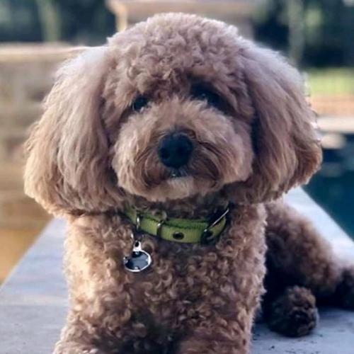 15:32:55 GMT+0100 (WAT)