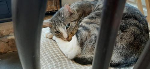 14:02:14 GMT-0500 (EST)