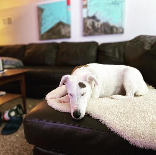 15:51:47 GMT+0100 (WAT)