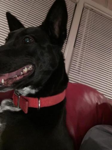 10:13:29 GMT-0600 (CST).image