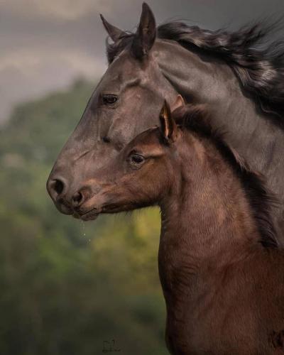 140408912_1778434528989418_5083070559914802200_o