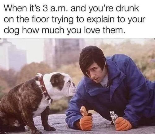 20:30:43 GMT-0800 (PST).image