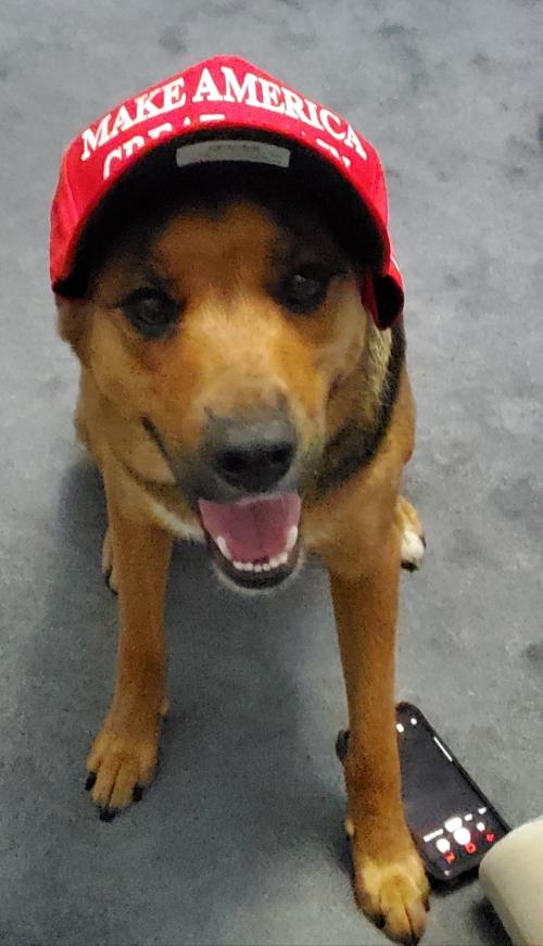 Resized_20200814_220309