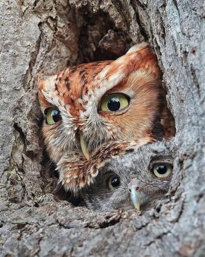 140583078_1778753532290851_5012069023699319398_o