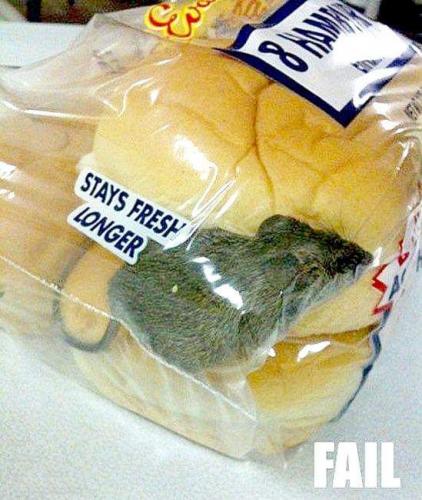 14:47:02 GMT-0500 (EST)