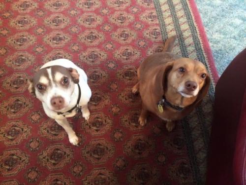 19:28:02 GMT-0600 (CST).image