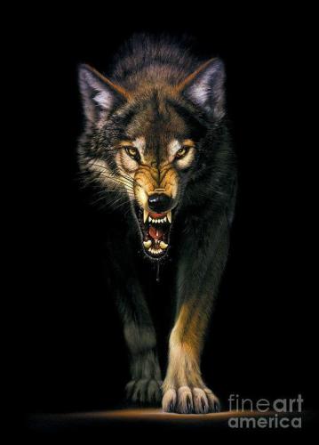 19:42:46 GMT-0600 (CST)