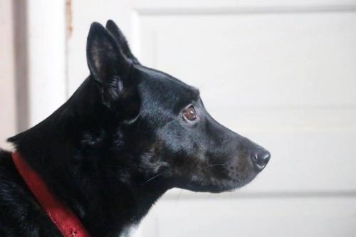 10:07:24 GMT-0600 (CST).image