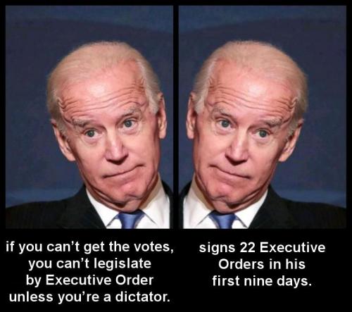 biden339