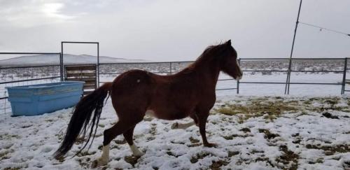 07:56:24 GMT-0800 (PST).image