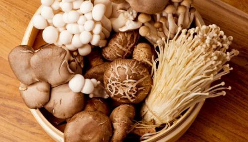 Mushroom_For_Immunity