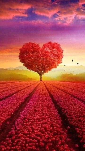 19:12:04 GMT+0100 (WAT)