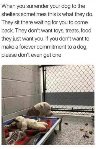 13:06:43 GMT-0500 (EST)