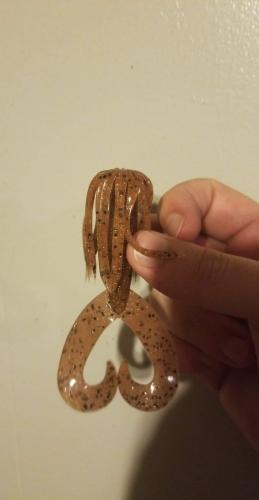 05:11:05 GMT-0500 (EST)