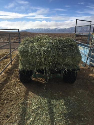 21:09:42 GMT-0800 (PST).image