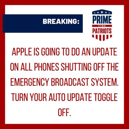 137256934_173692291176335_8443300096390963050_n